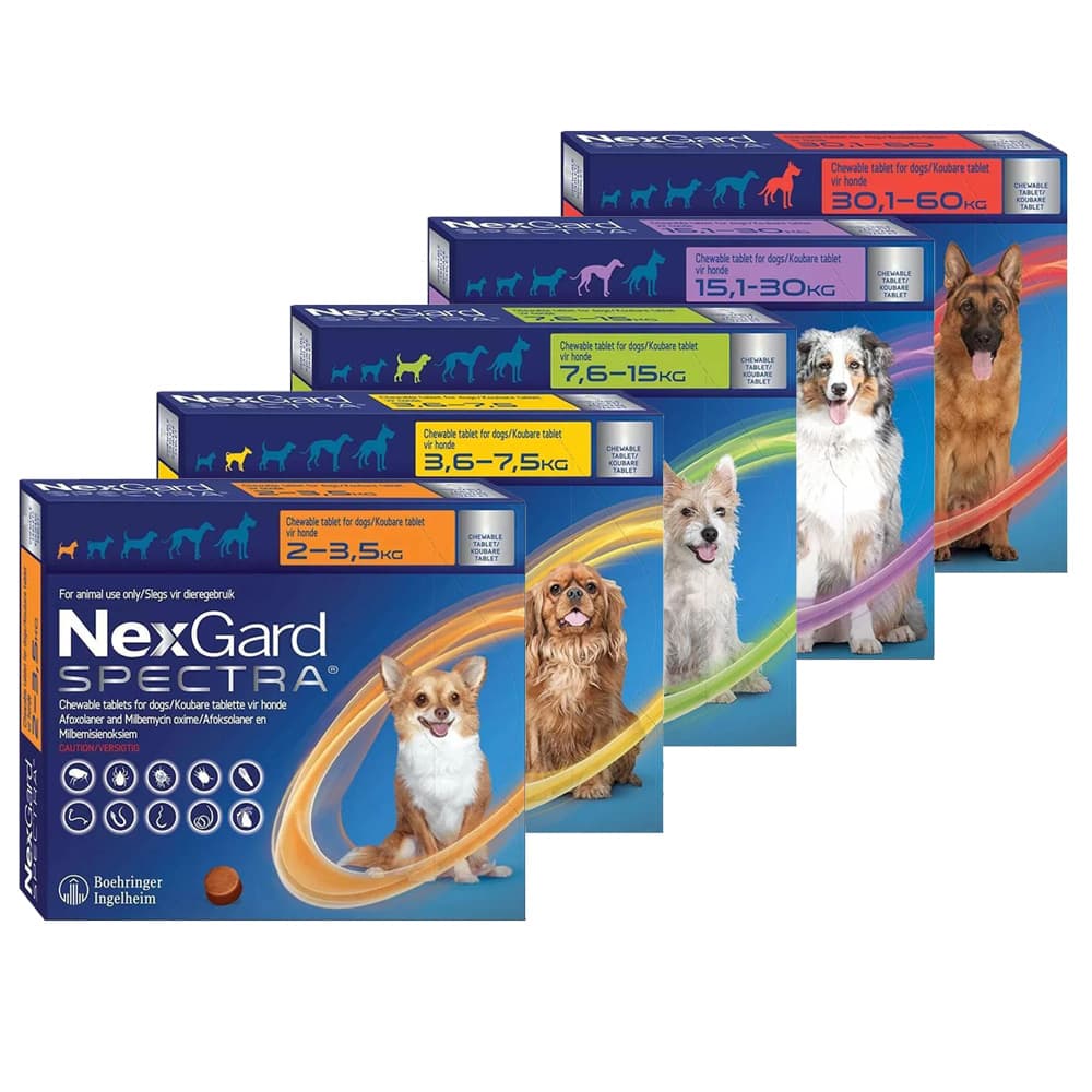 Nexgard Spectra Dog 2-3.5Kg