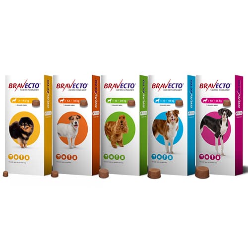 Bravecto Chew Dog 4.5-10kg