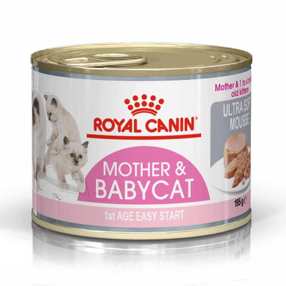 Royal Canin Mother And Baby Cat Mousse Tin 195g