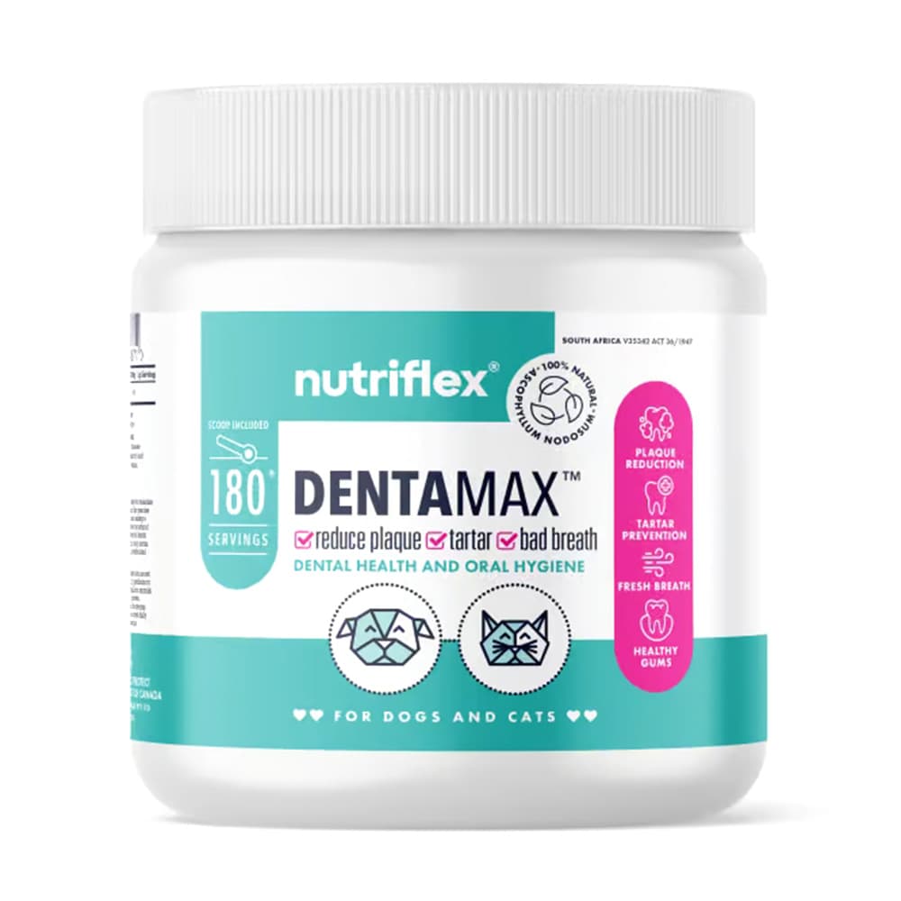 Nutriflex DentaMax 180g